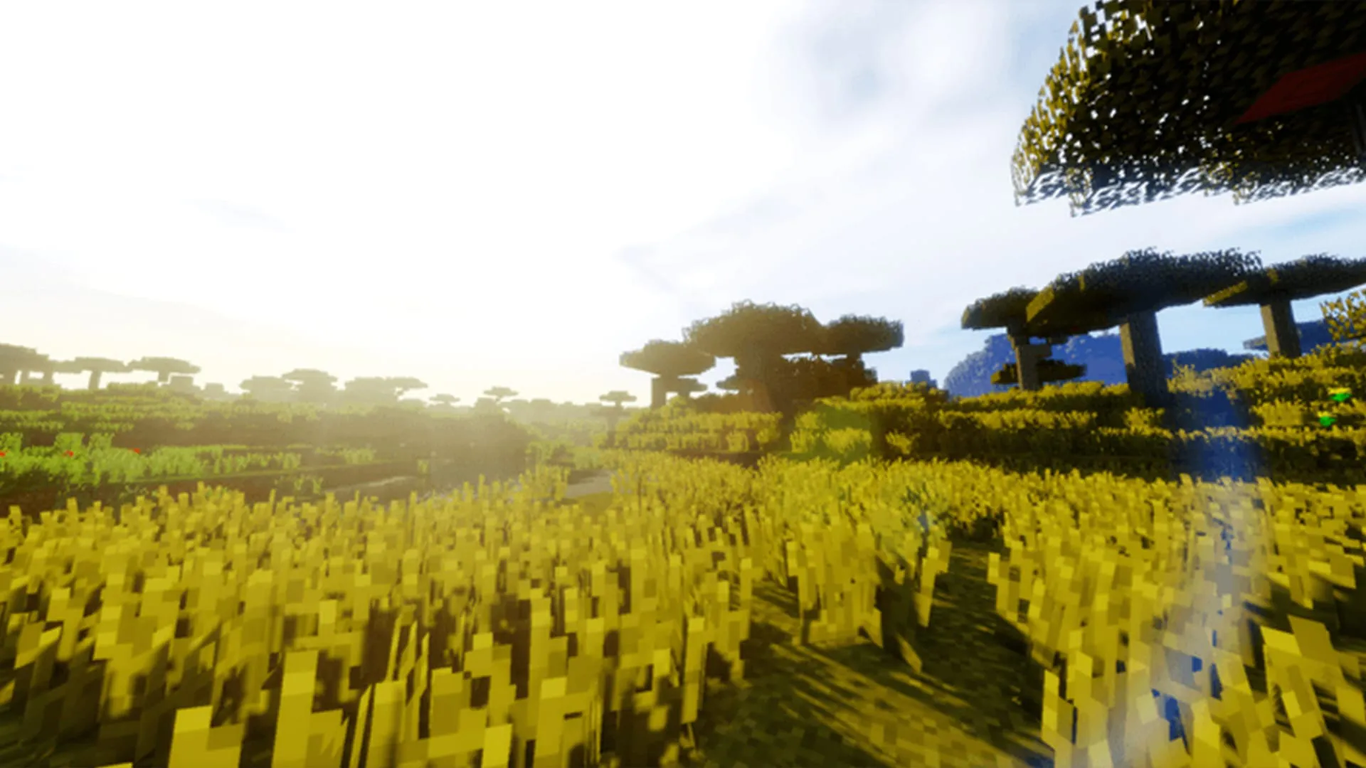 Optifine Minecraft Mod