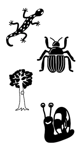 High Contrast Cards for Babies