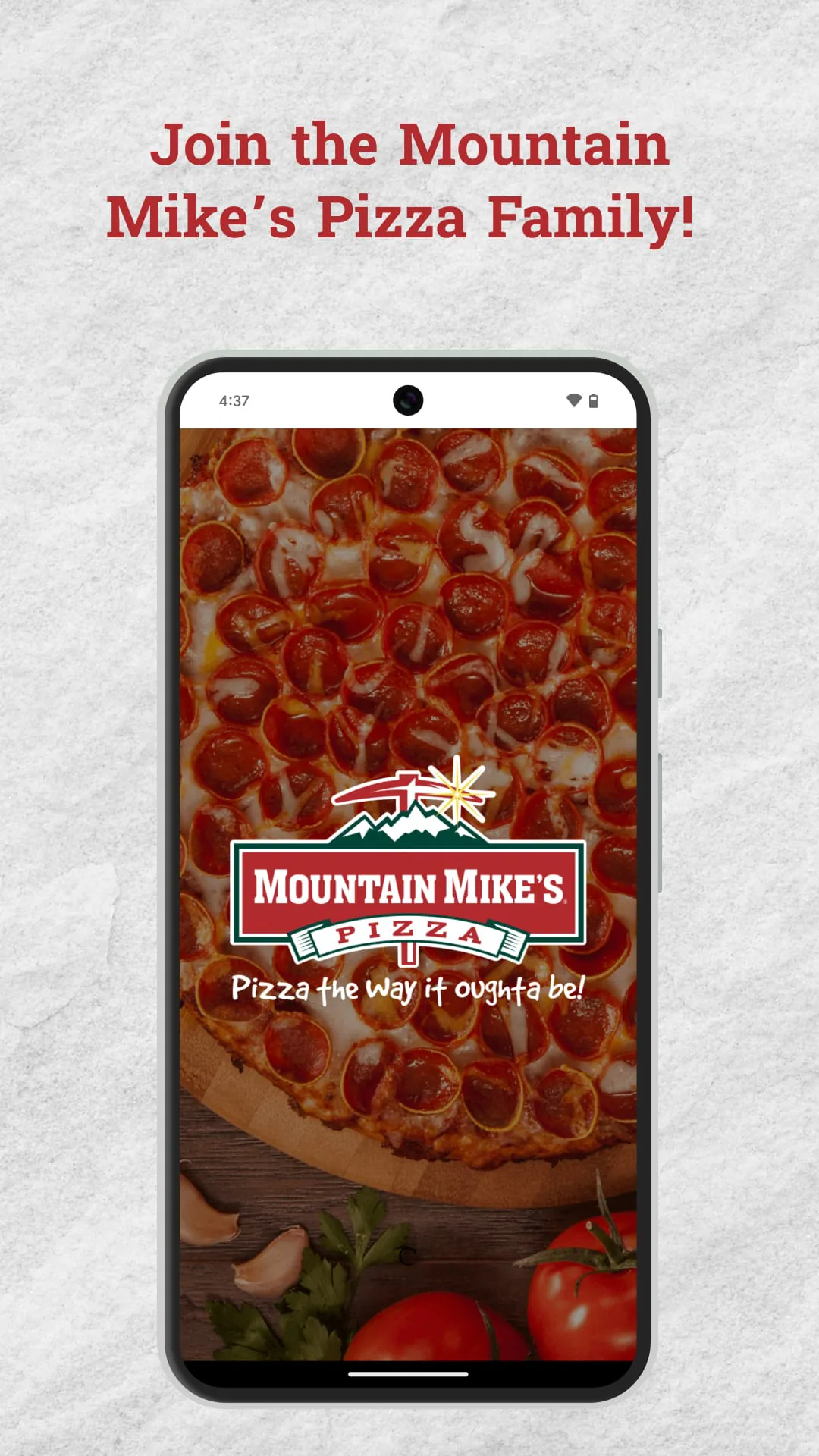 Mountain Mike's Pizza