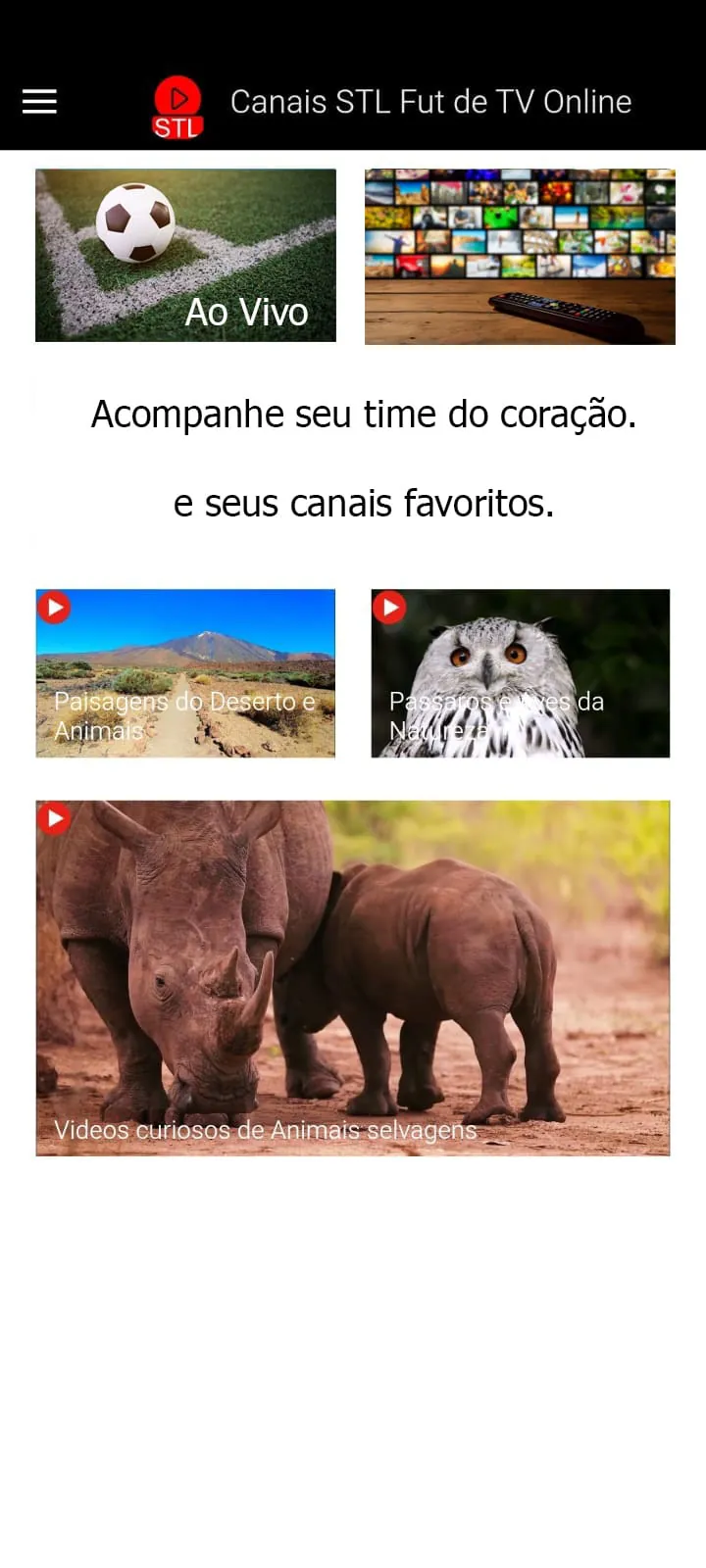 Canais STL Fut de TV Online